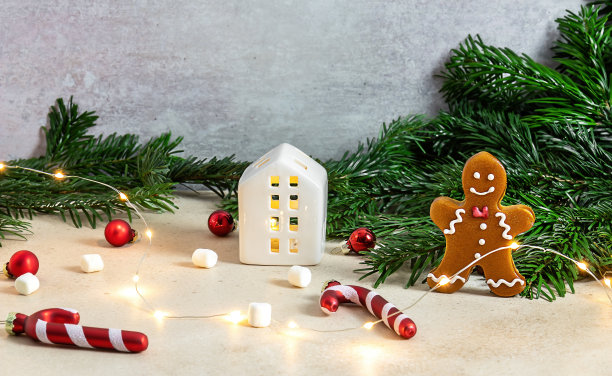 圣诞节自制姜饼饼干和一杯热巧克力和棉花糖。图片下载