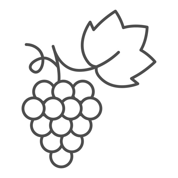 串葡萄细线图标夏季概念图片下载