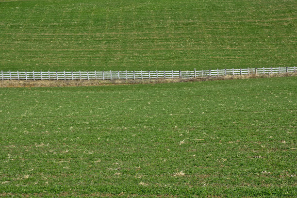 田野里的白色木制栅栏;图片下载