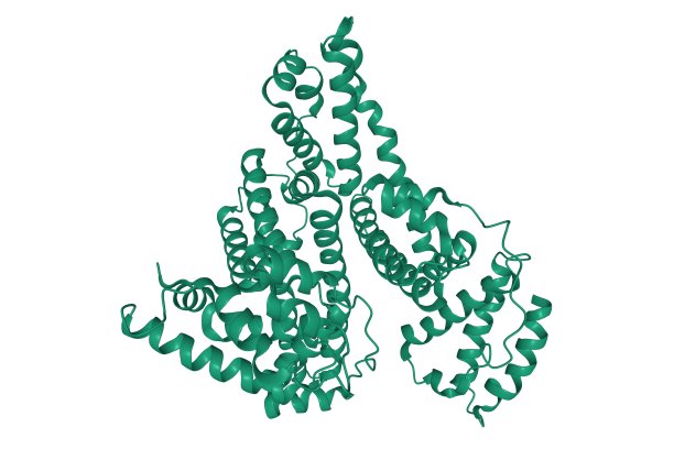 人体白蛋白结构，三维卡通模型孤立，白色背景图片下载