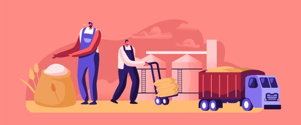 面粉生产，小麦特性生产，制造工艺，面包工业。人们收获谷物和装载图片下载