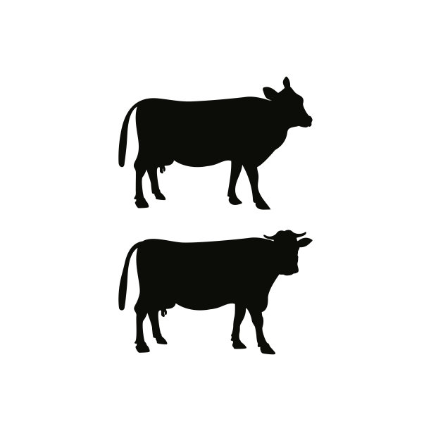 牛图标设计模板矢量孤立插图图片下载