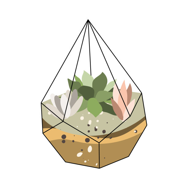 Florarium、玻璃花瓶。多肉植物和仙人掌在几何玻璃花盆。花园在瓶子，diy几何盆景，微型生态系统。矢量平面卡通插图图片下载