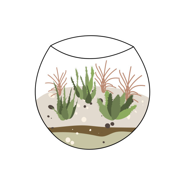 花柜，玻璃花瓶。几何玻璃花盆里的多肉植物和仙人掌。瓶子里的花园，diy几何玻璃容器，迷你生态系统。矢量平面卡通插图图片下载