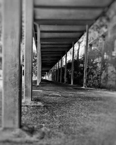 日常的路面图片下载