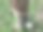 橡胶种植园图片下载