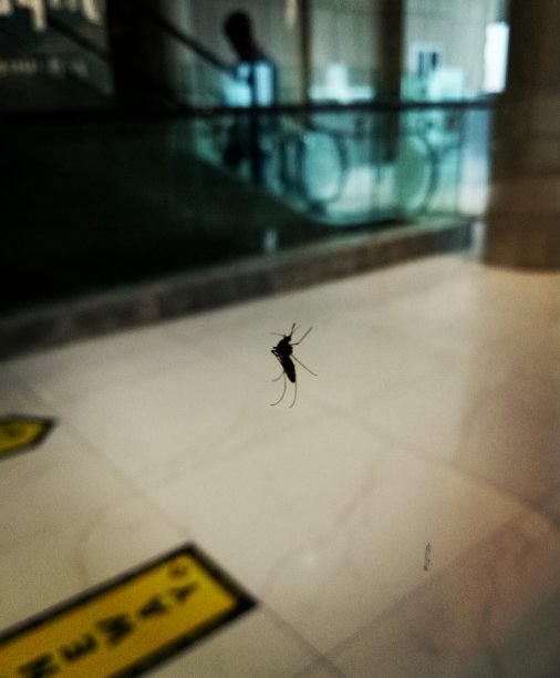 商场里的蚊子图片下载