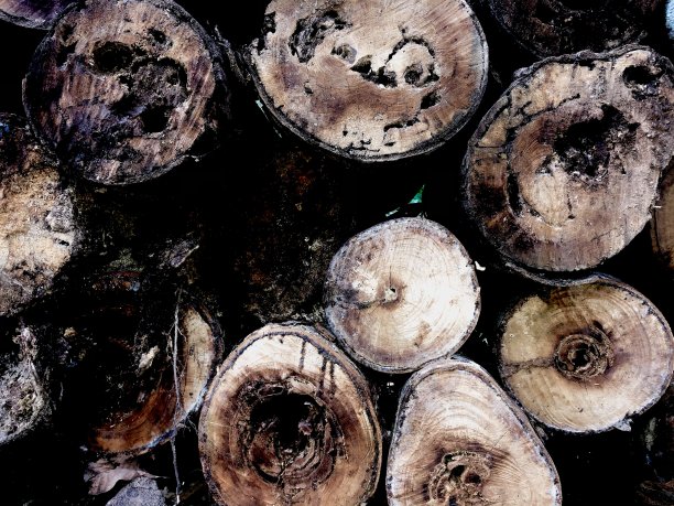 旧日志图片下载