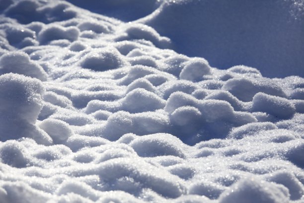 雪疙瘩图片下载