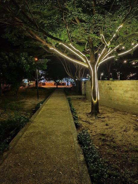 晚上的城市公园图片下载