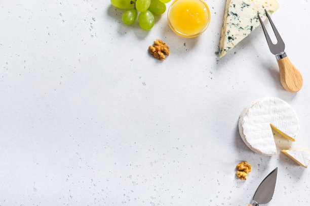 不同种类的奶酪放在背景上图片下载