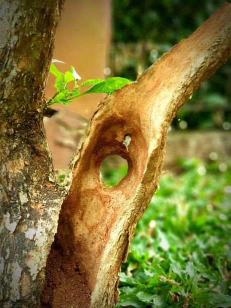 多孔材图片下载