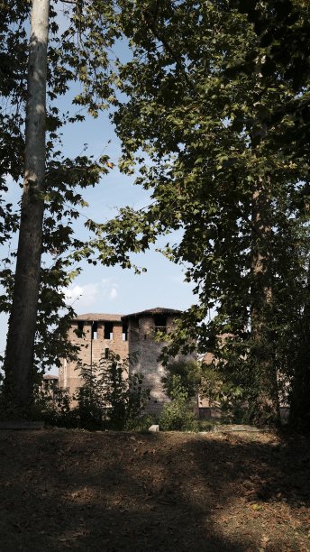 公园在夏天图片下载