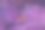 一个长凳在一个神秘的精灵森林，3d渲染图片下载