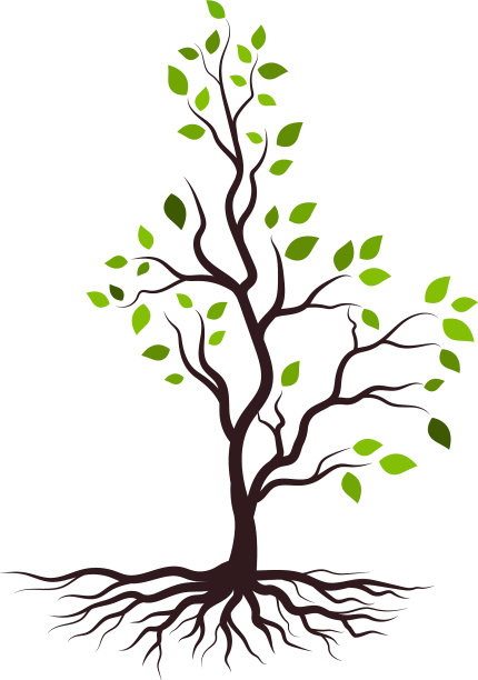 树枝插图设计图片下载