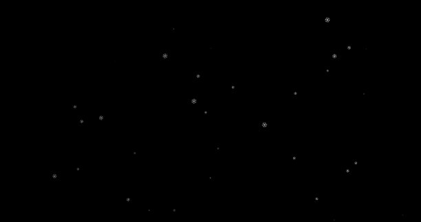 3D插图逼真的自然柔和模糊的白雪与散景创建从粒子孤立的黑色背景上叠加效果，我们作为一个明星天空降雪冬季节日庆祝的效果图片下载