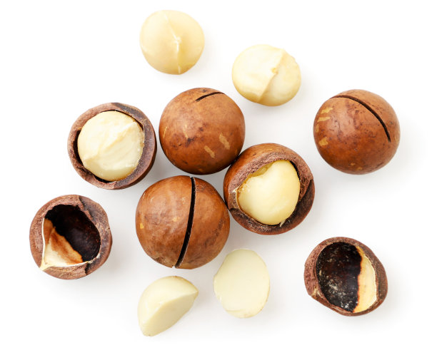 澳洲坚果未剥皮和剥皮，白色背景，孤立。山顶的景色图片下载
