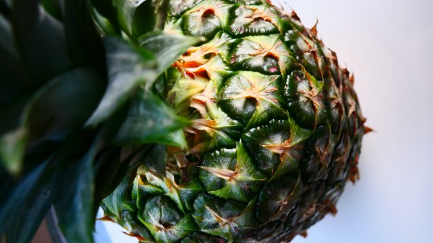 菠萝的观点在垂直反潜水在特写图片下载