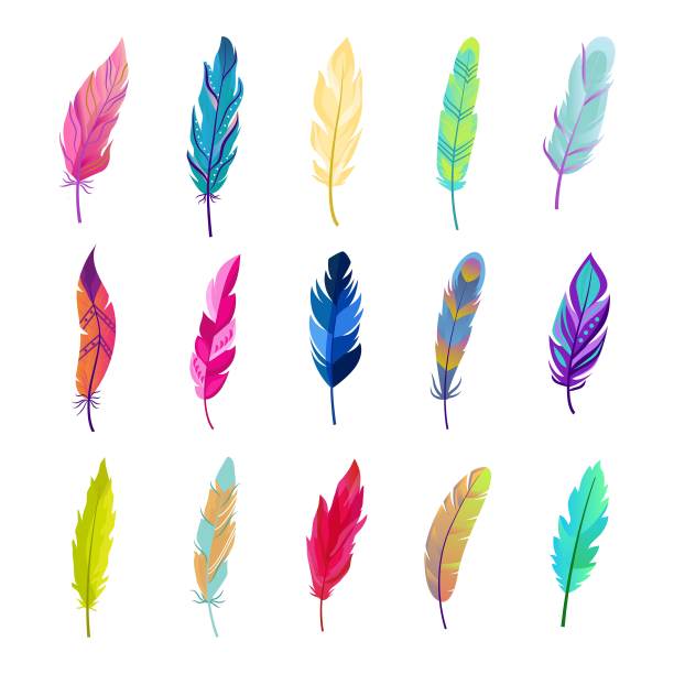 彩色的鸟羽毛套装。明亮的绿色绒毛设计与红色色调和柔和的蓝色对比美丽的自然紫色孔雀花饰与黄色鹦鹉图片橙色多彩的纹理。奇异向量。图片下载