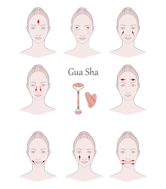 中医按摩用刮痧石。脸部按摩线条，矢量插图图片下载