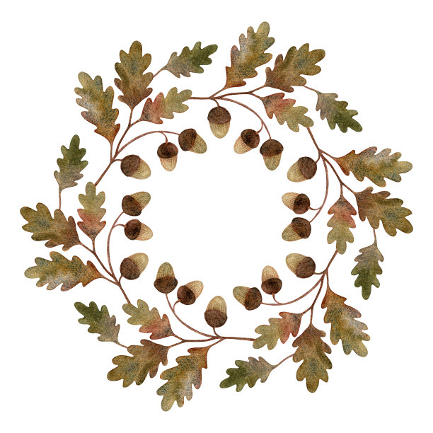 水彩橡木圈花环。装饰性的圆形框架孤立在白色背景上。秋天的季节。手绘的小树枝，有橡子和秋叶。图片下载