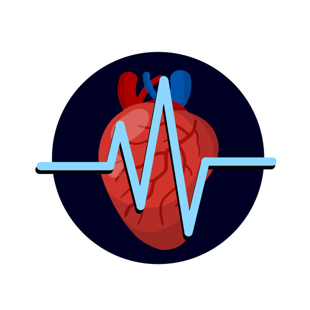 平长影心跳图标。人体内部器官。医学和心脏病。教科书和医学教育的元素。卡通插图图片下载