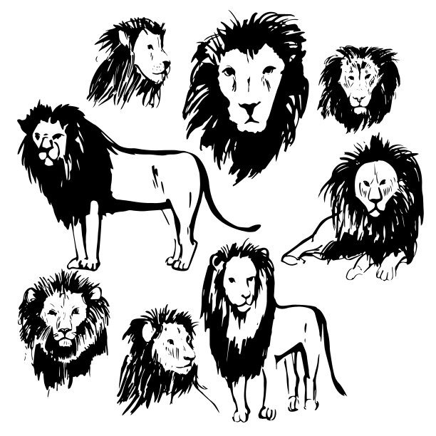 手绘狮子素描图片下载