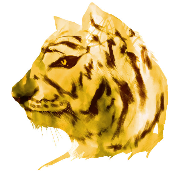 老虎的侧面图图片下载