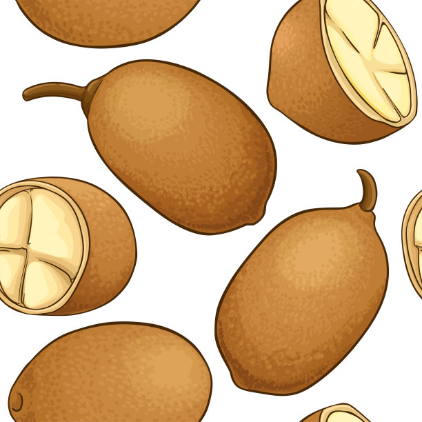 cupuacu矢量模式图片下载