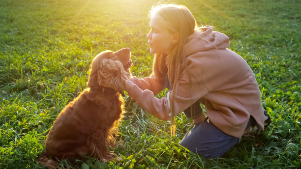 金发女孩穿着帽衫和牛仔裤亲吻毛茸茸的西班牙猎犬图片下载