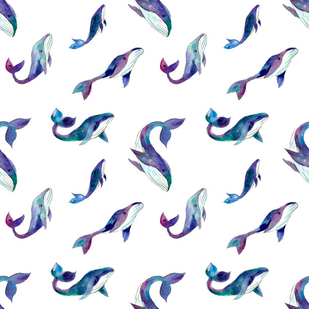 水彩模式与鲸鱼在白色的背景图片下载