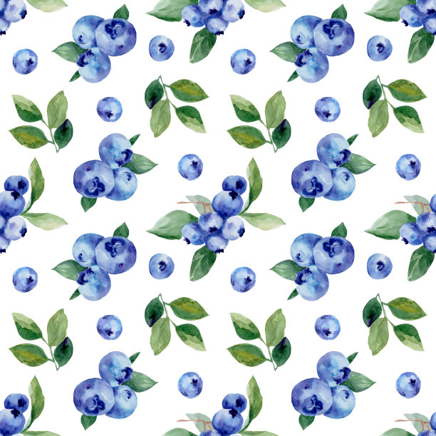 水彩蓝莓和树叶图案图片下载