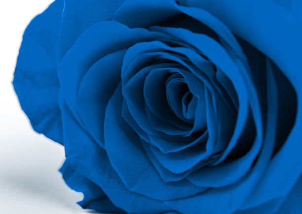 2020年度流行色经典蓝色调图片下载