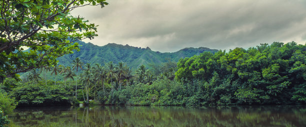 夏威夷的泻湖图片下载