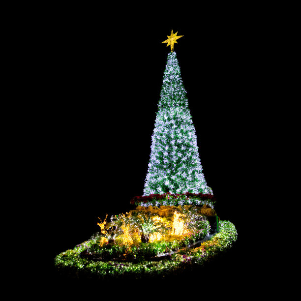 户外闪亮的大圣诞树布置在晚上图片下载