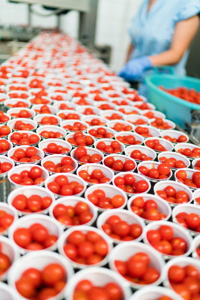 加工的datterino番茄，是意大利传统的典型产品——那不勒斯图片下载