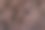 动物毛皮纹理背景特写蓬松的牛牛毛图片下载