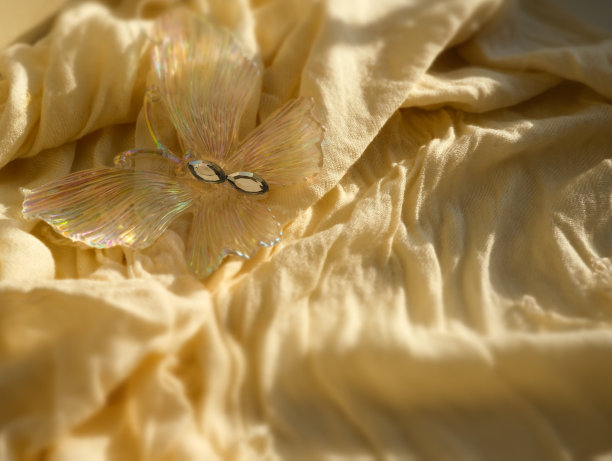 在米色纹理布上选择性聚焦和局部模糊装饰珍珠蝴蝶，清晨阳光的光影，温馨家的细节，复制空间图片下载