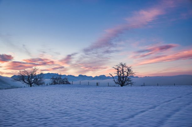 冬天的早晨与一个被雪覆盖的树和山之上的雾，雾，照片摄于瑞士的苏黎世奥伯兰欣维尔图片下载