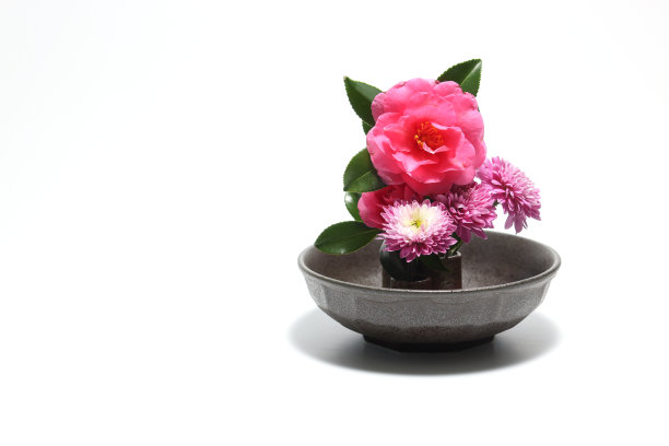 三分花和菊花按日本风格排列图片下载