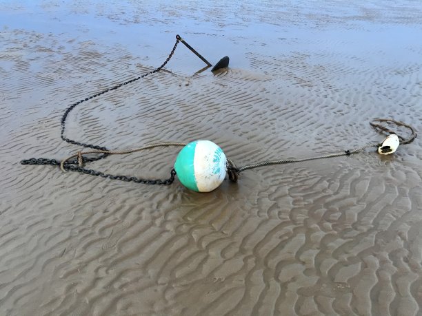 退潮的时候图片下载