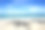 海滩上的棕榈树。图片下载