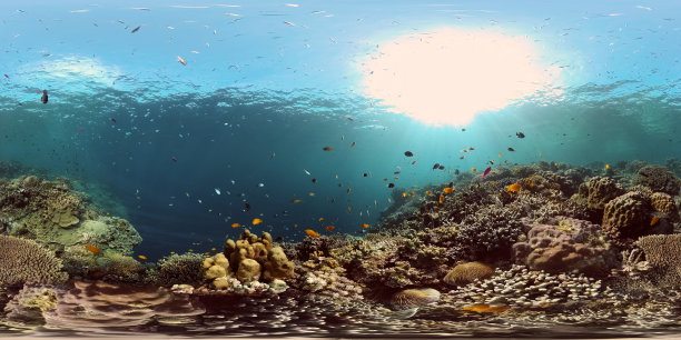 珊瑚礁的水下世界。菲律宾。虚拟现实360图片下载
