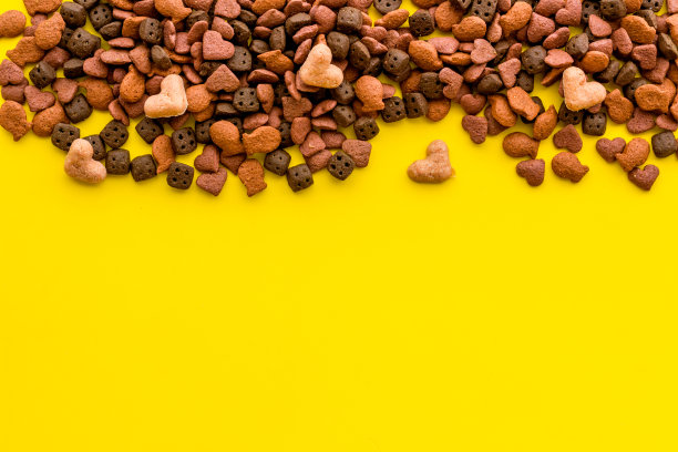 猫宠物食品背景。上面,俯视图片下载