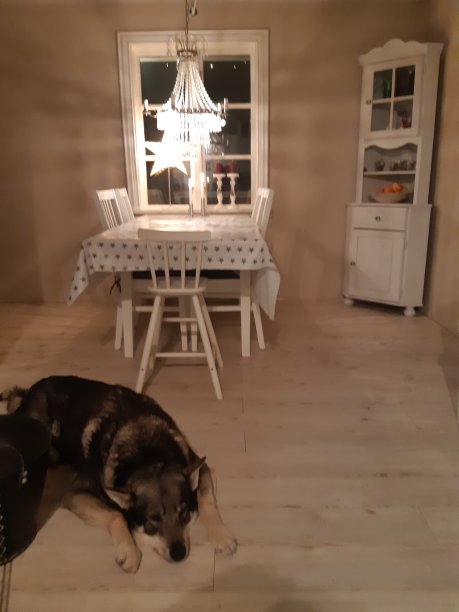 厨房的和谐图片下载