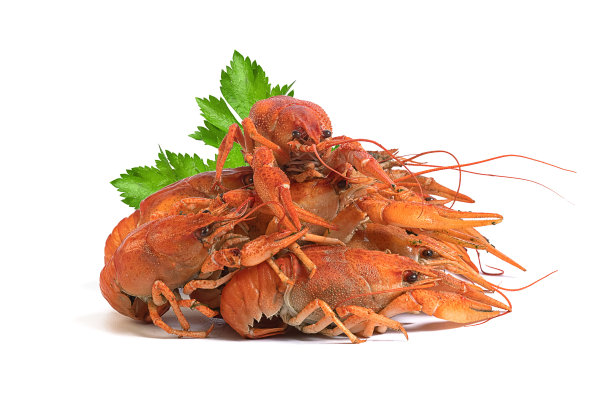 白底芹菜绿煮小龙虾图片下载