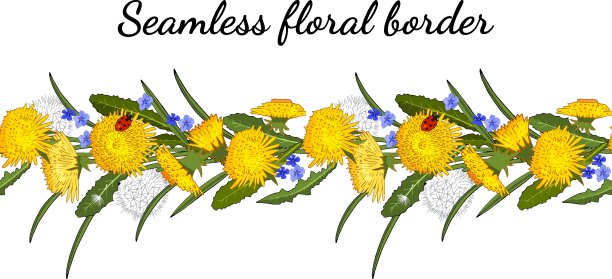 无缝的春天边界与蒲公英孤立的白色。矢量手绘模式。图片下载