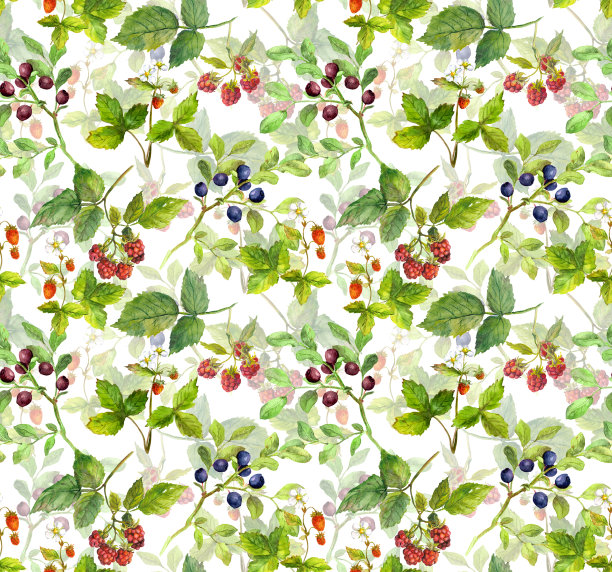 夏天的新鲜水果。无缝模式与浆果。水彩图片下载