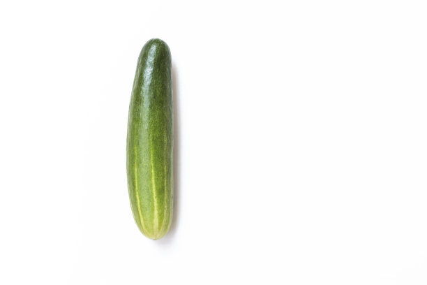 白色背景上的鲜绿黄瓜图片下载