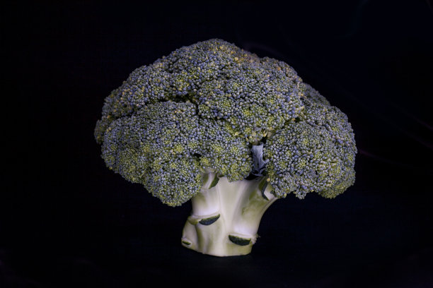 西西里岛的西兰花图片下载